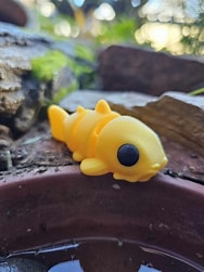 sunshine the catfish
