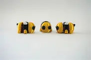 honey the bumble bee