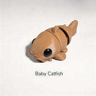 sunshine the catfish