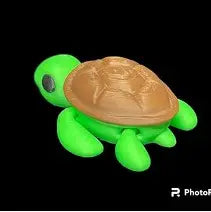 shelly the turtle