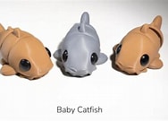 sunshine the catfish