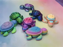 shelly the turtle