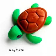 shelly the turtle